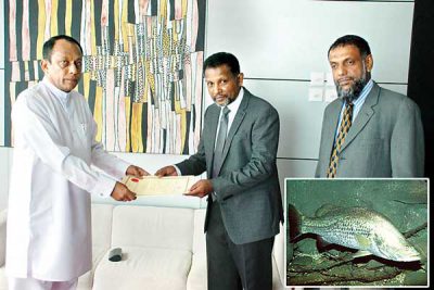 Oceanpick to introduce marine fish farming to Sri Lanka