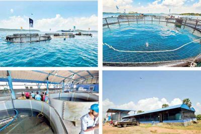 Oceanpick to Revitalise Sri Lanka’s Aquaculture Sector