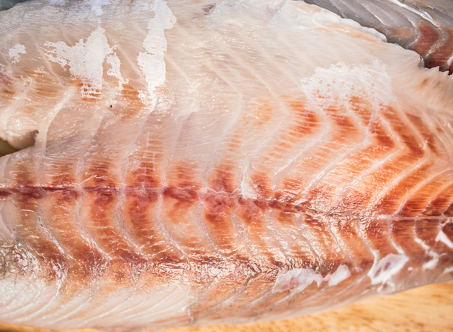 Barramundi Skin Off Fillet